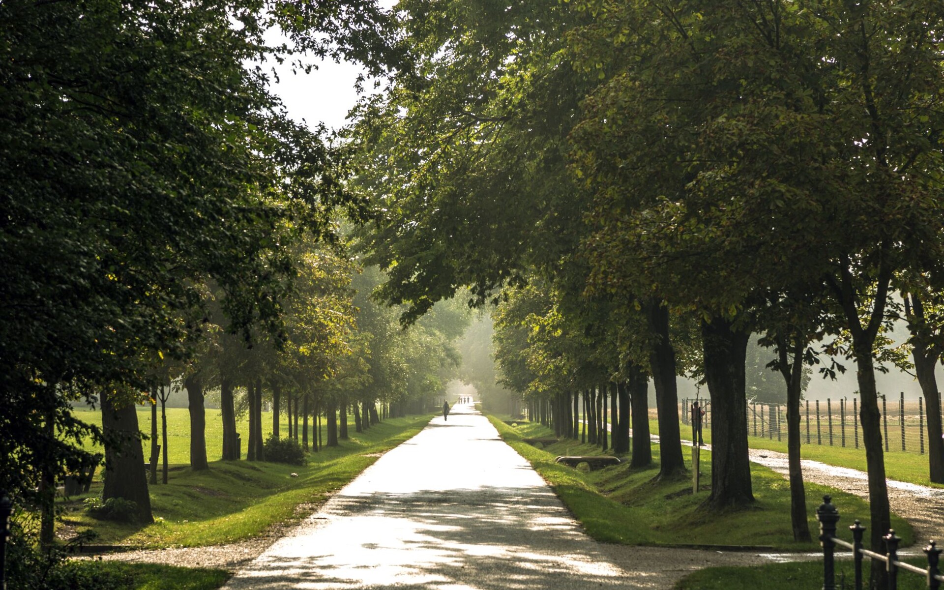 Allee im Lainzer Tiergarten